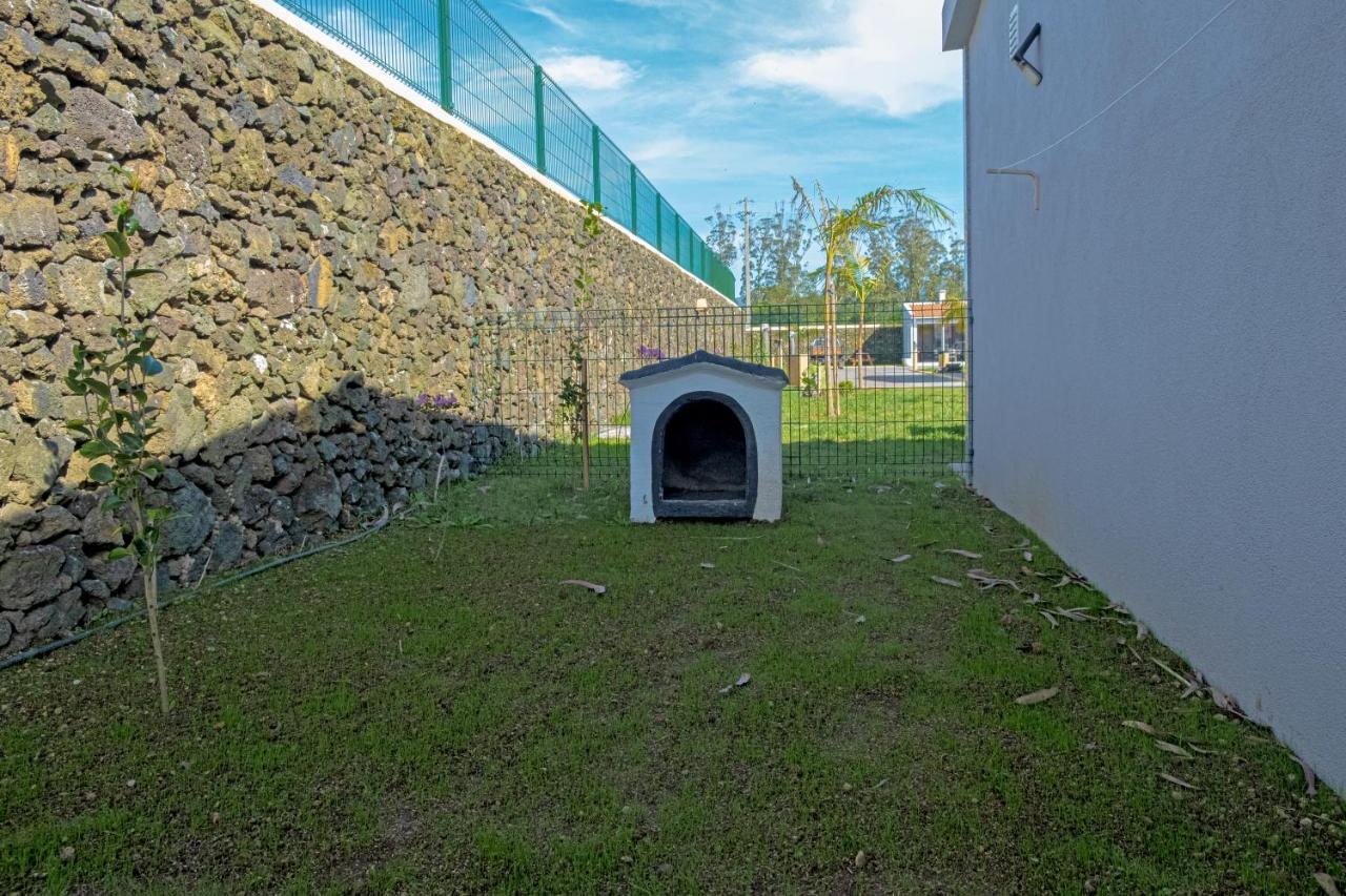 Parrots'Village Rabo de Peixe Exterior foto